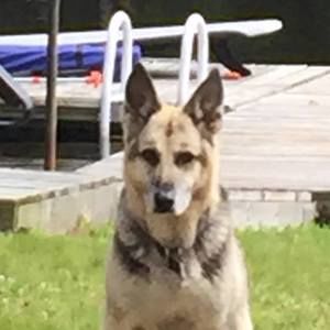 Meet your Posher, Barry